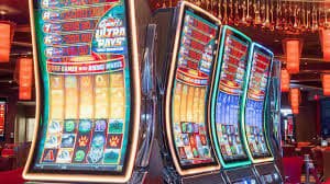 Pengingat tanggung jawab Petualangan Bingo